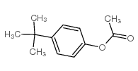 Phenol,4-(1,1-dimethylethyl)-, 1-acetate Structure