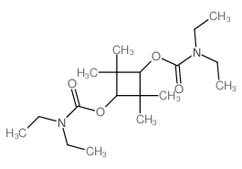 Carbamic acid,diethyl-, 2,2,4,4-tetramethyl-1,3-cyclobutylene ester, cis- (8CI) Structure