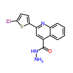 2-(5-CHLORO-THIOPHEN-2-YL)-QUINOLINE-4-CARBOXYLIC ACID HYDRAZIDE结构式