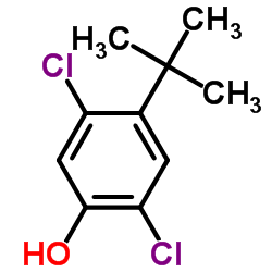 2,5-Dichloro-4-(2-methyl-2-propanyl)phenol结构式