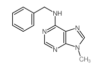 9H-Purin-6-amine,9-methyl-N-(phenylmethyl)- Structure