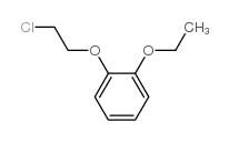 1-(2-chloroethoxy)-2-ethoxybenzene structure