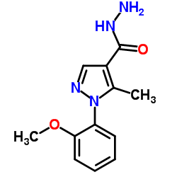 1-(2-Methoxyphenyl)-5-methyl-1H-pyrazole-4-carbohydrazide structure