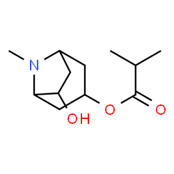 Propanoic acid, 2-methyl-, 6-hydroxy-8-methyl-8-azabicyclo[3.2.1]oct-3-yl ester (9CI)结构式