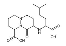 8-(1-carboxy-4-methylpentylamino)-octahydro-9-oxopyridazo[1,2-a]pyridazine-1-carboxylic acid Structure