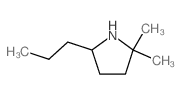 2,2-dimethyl-5-propyl-pyrrolidine Structure