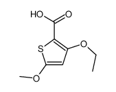 2-Thiophenecarboxylicacid,3-ethoxy-5-methoxy-(9CI) structure