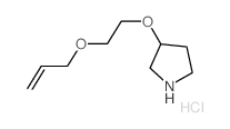 3-[2-(Allyloxy)ethoxy]pyrrolidine hydrochloride Structure