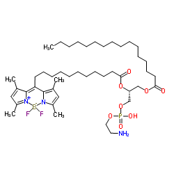 [(2R)-3-{[(2-Aminoethoxy)(hydroxy)phosphoryl]oxy}-2-{[12-(3,5-dimethyl-1H-pyrrol-2-yl-κN)-12-(3,5-dimethyl-2H-pyrrol-2-ylidene-κN)dodecanoyl]oxy}propyl hexadecanoatato](difluoro)boron Structure