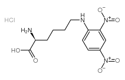 N-EPSILON-2,4-DNP-L-LYSINE HYDROCHLORIDE picture
