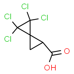 4,4,5,5-tetrachlorospiro[2.2]pentane-1-carboxylic acid Structure