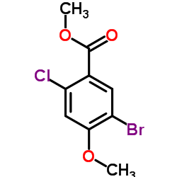 5-溴-2-氯-4-甲氧基苯甲酸甲酯结构式