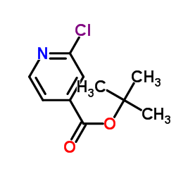 tert-Butyl 2-chloroisonicotinate structure