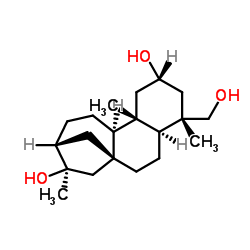 蕨贝壳杉烷 R结构式