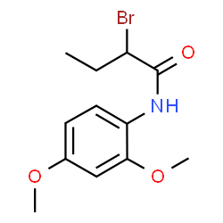 2-Bromo-N-(2,4-dimethoxyphenyl)butanamide结构式