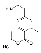 ethyl 2-(2-aminoethyl)-4-methylpyrimidine-5-carboxylate,hydrochloride结构式