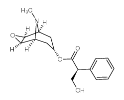 (-)-莨菪碱图片