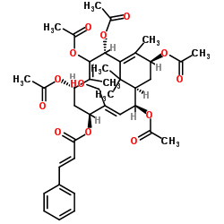 20-Deacetyltaxuspine X Structure