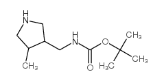 Carbamic acid, [(4-methyl-3-pyrrolidinyl)methyl]-, 1,1-dimethylethyl ester (9CI)结构式