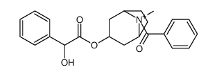 (8-benzoyl-8-methyl-8-azoniabicyclo[3.2.1]octan-3-yl) 2-hydroxy-2-phenylacetate结构式