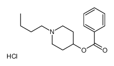 1-Butyl-4-piperidyl benzoate hydrochloride Structure