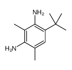 4-(tert-butyl)-2,6-dimethylbenzene-1,3-diamine结构式