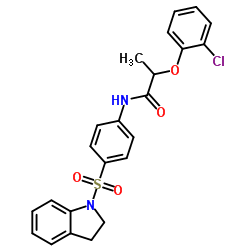 2-(2-Chlorophenoxy)-N-[4-(2,3-dihydro-1H-indol-1-ylsulfonyl)phenyl]propanamide结构式