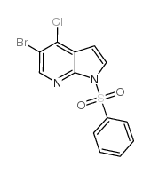 5-溴-4-氯-1-(苯磺酰基)-1H-吡咯并[2,3-B]吡啶图片