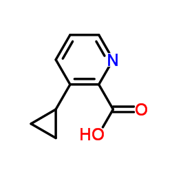 3-环丙基-2-羧基吡啶结构式