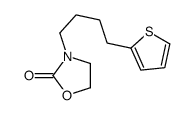 3-(4-thiophen-2-ylbutyl)-1,3-oxazolidin-2-one结构式