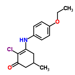 2-Chloro-3-[(4-ethoxyphenyl)amino]-5-methyl-2-cyclohexen-1-one结构式