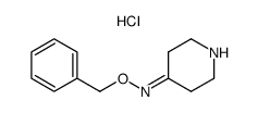 piperidin-4-one O-benzyloxime hydrochloride Structure