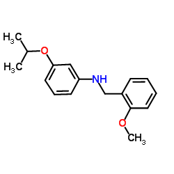 3-Isopropoxy-N-(2-methoxybenzyl)aniline Structure