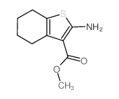 2-amino-4,5,6,7-tetrahydro-benzo[b]thiophene-3-carboxylic acid methyl ester Structure