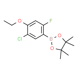 5-Chloro-4-ethoxy-2-fluorophenylboronic acid pinacol ester picture