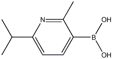 2-Methyl-6-(iso-propyl)pyridine-3-boronic acid结构式
