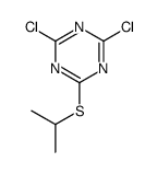 2,4-dichloro-6-propan-2-ylsulfanyl-1,3,5-triazine Structure