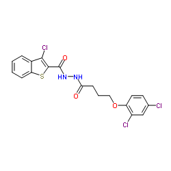 3-Chloro-N'-[4-(2,4-dichlorophenoxy)butanoyl]-1-benzothiophene-2-carbohydrazide结构式