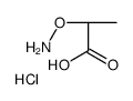 (2R)-2-aminooxypropanoic acid,hydrochloride结构式