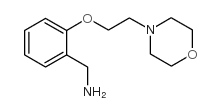 [2-(2-MORPHOLINOETHOXY)PHENYL]METHYLAMINE picture