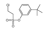 (3-tert-butylphenyl) 2-chloroethanesulfonate Structure