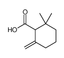 2,2-dimethyl-6-methylidenecyclohexane-1-carboxylic acid Structure