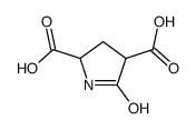 5-oxopyrrolidine-2,4-dicarboxylic acid Structure