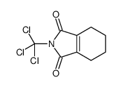 2-(trichloromethyl)-4,5,6,7-tetrahydroisoindole-1,3-dione结构式