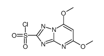 5,7-dimethoxy-[1,2,4]triazolo[1,5-a]pyrimidine-2-sulfonyl chloride结构式