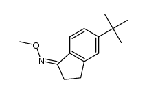 (Z)-5-tert-butyl-2,3-dihydro-1H-inden-1-one O-methyl oxime结构式