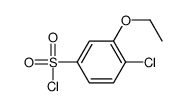 4-chloro-3-ethoxybenzenesulfonyl chloride(SALTDATA: FREE)结构式