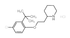 2-{2-[2-(tert-Butyl)-4-chlorophenoxy]-ethyl}piperidine hydrochloride Structure