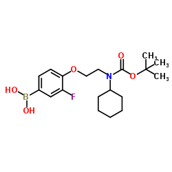(4-(2-((tert-butoxycarbonyl)(cyclohexyl)amino)ethoxy)-3-fluorophenyl)boronic acid structure