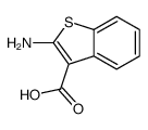 2-氨基-1-苯并噻吩-3-羧酸结构式